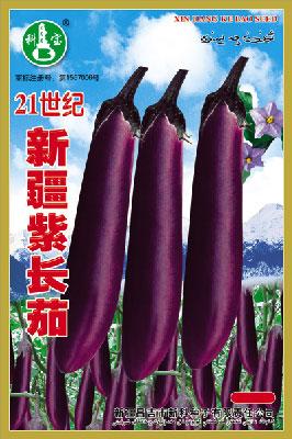 新疆紫长茄——根菜种子