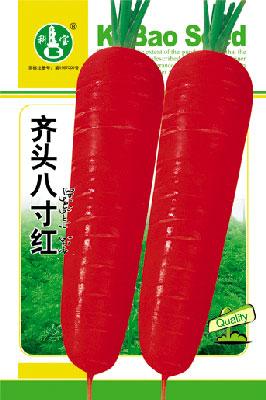 齐头八寸红——根菜种子