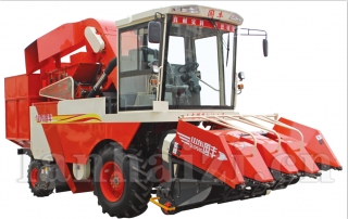 guofeng888