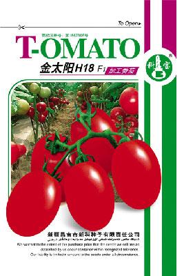金太阳H18F1 ——茄果种子