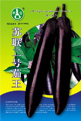 苏联二号茄王——茄果种子