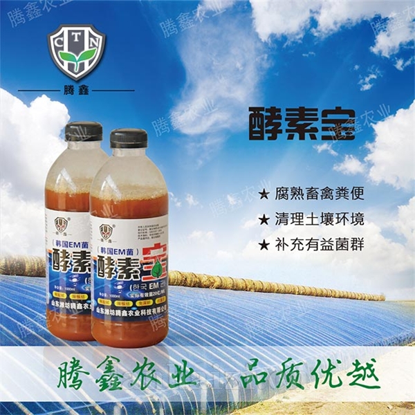 酵素宝