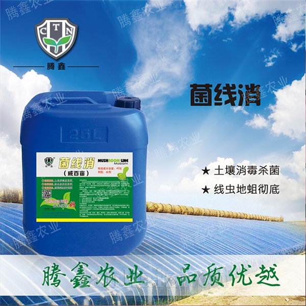 菌线消