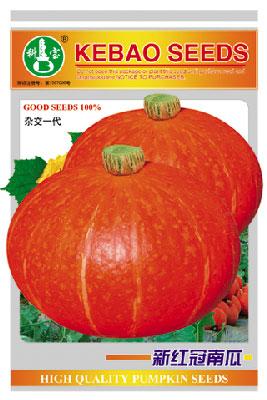 新红冠南瓜 ——西葫芦种子