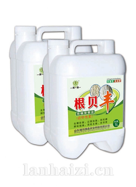 根贝丰