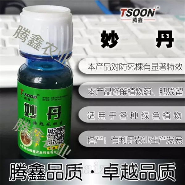 妙丹