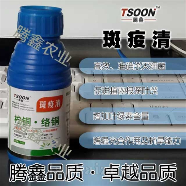 斑疫清
