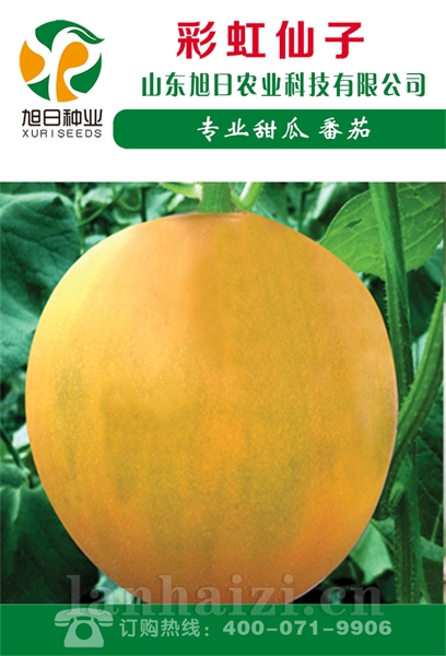 彩虹仙子