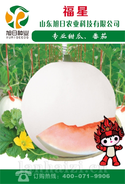 福星