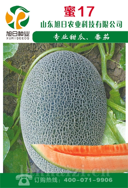 蜜17
