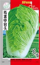 焉耆中包头