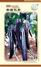 新疆长茄