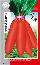 小五樱水萝卜