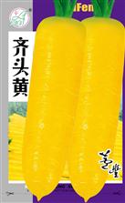 齐头黄