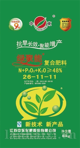 26-11-11绿CL