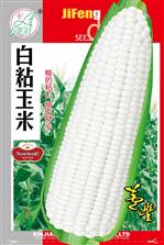 白粘玉米