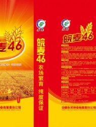 皖麦46