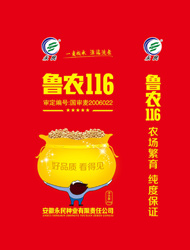 鲁农116