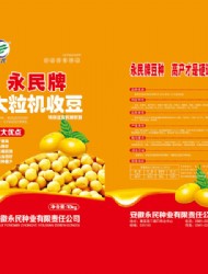 永民-大粒机收豆