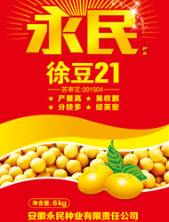 徐豆21