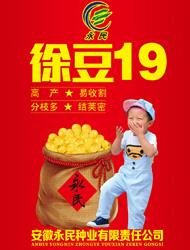 徐豆19
