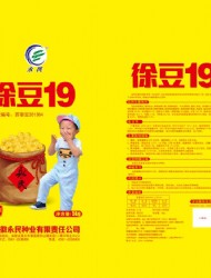 徐豆19 副本1