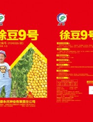 徐豆9号正背面