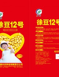 徐豆12号