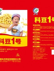 科豆1号正背面