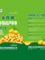 永民-早熟高产8号