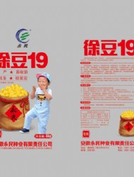 徐豆19