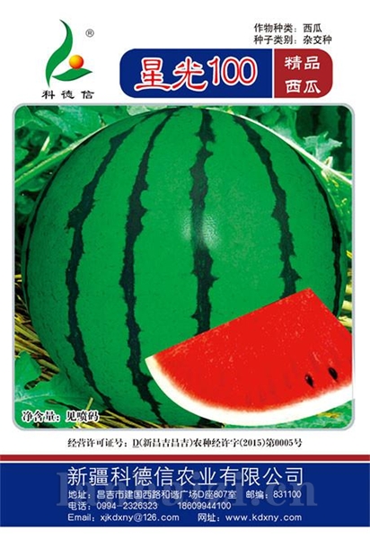 星光100