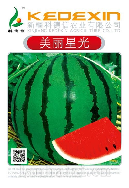 美丽星光