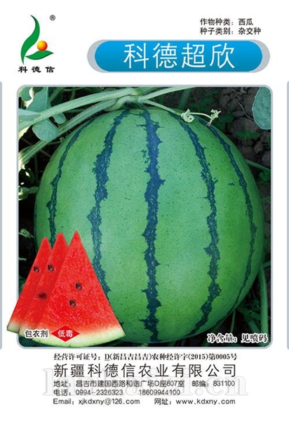 科德超欣