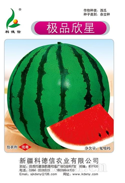 极品欣星