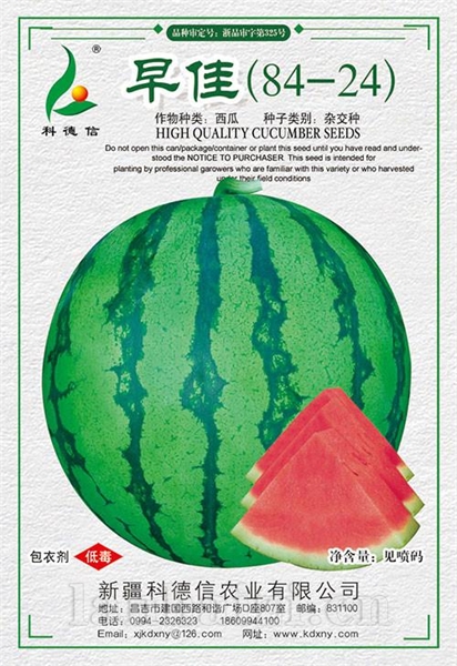 早佳84-24