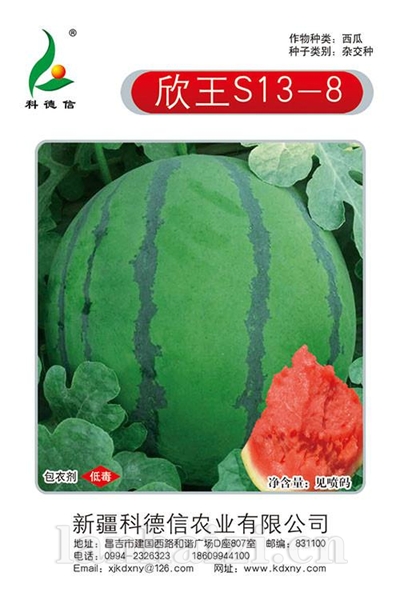 欣王S13-8,圆形西瓜种子