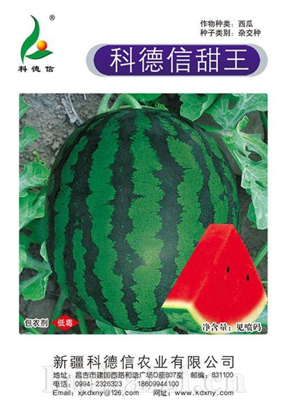 科德信甜王西瓜种子