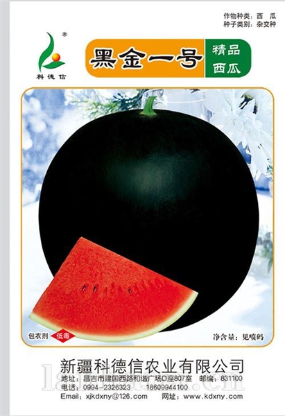 黑金一号,有籽西瓜种子
