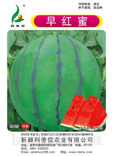 早红蜜