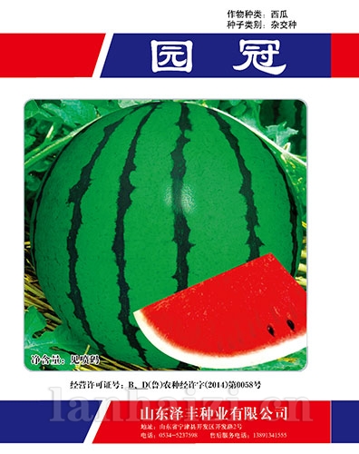 园冠