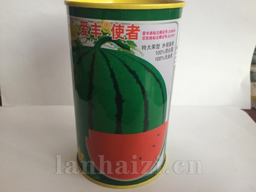 供应爱丰使者——西瓜种子