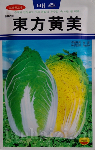 供应东方黄美-白菜种子