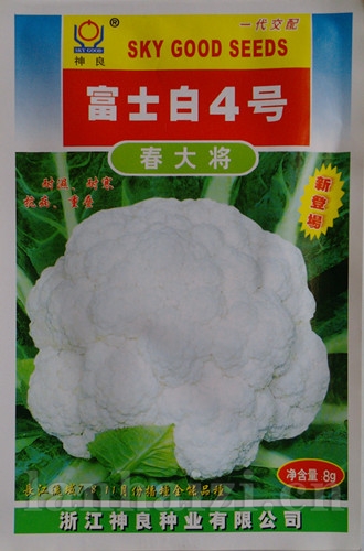 供应富士白4号春大将-花菜种子