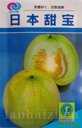 供应日本甜宝-甜瓜种子