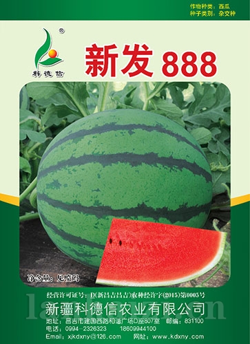 新发888