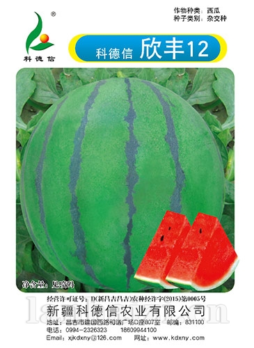 欣丰12