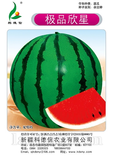 极品欣星西瓜