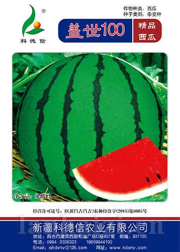 盖世100 精品西瓜种子