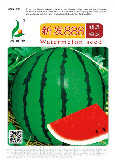 新发888